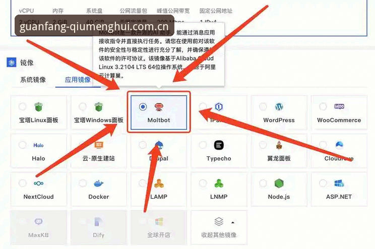 揭秘球盟会平台登录使用指南：新手必知的3大关键细节
